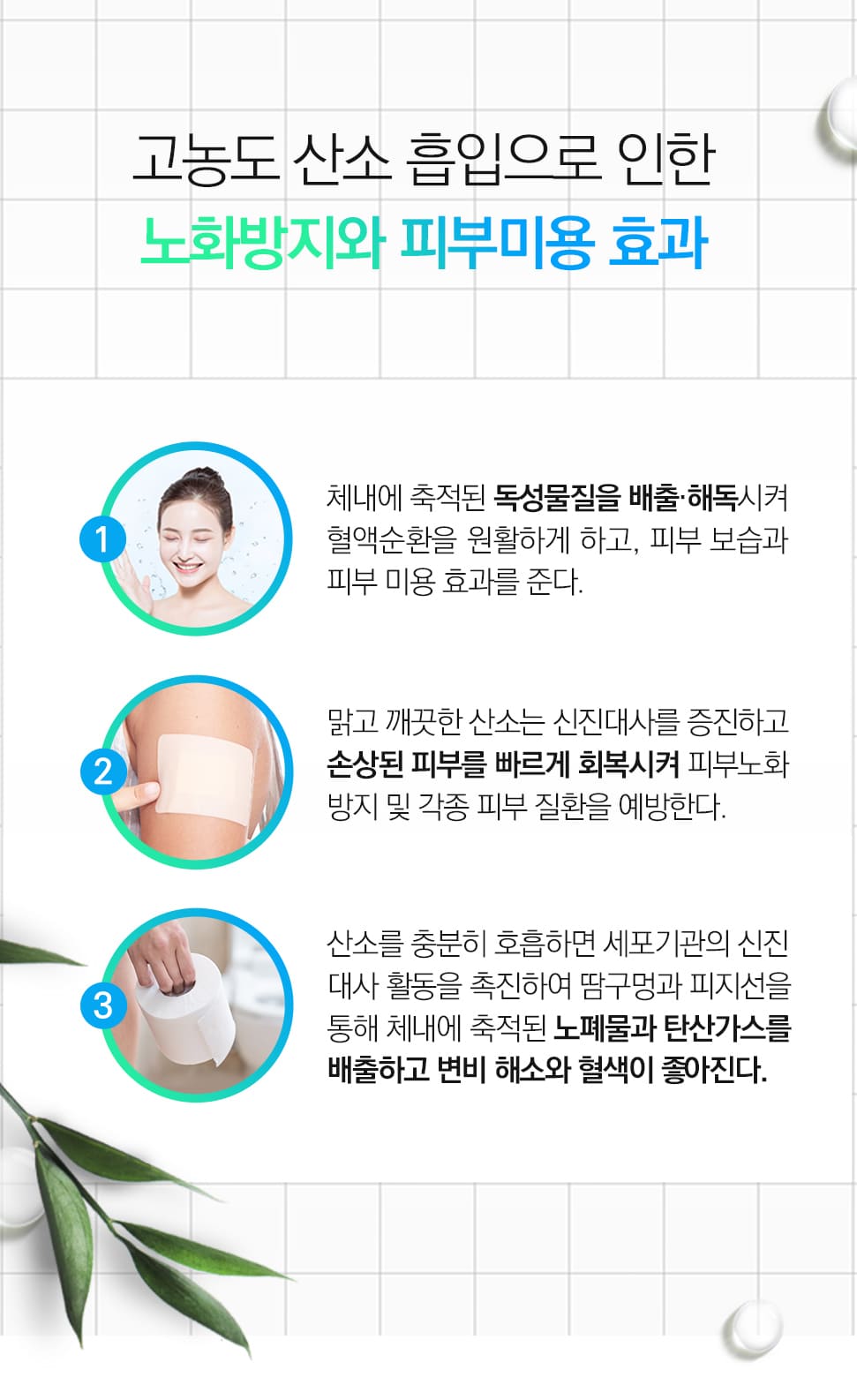 이미지명