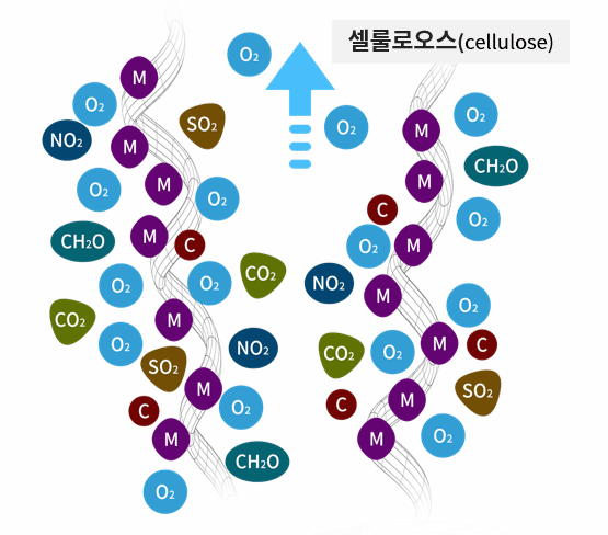 이미지명