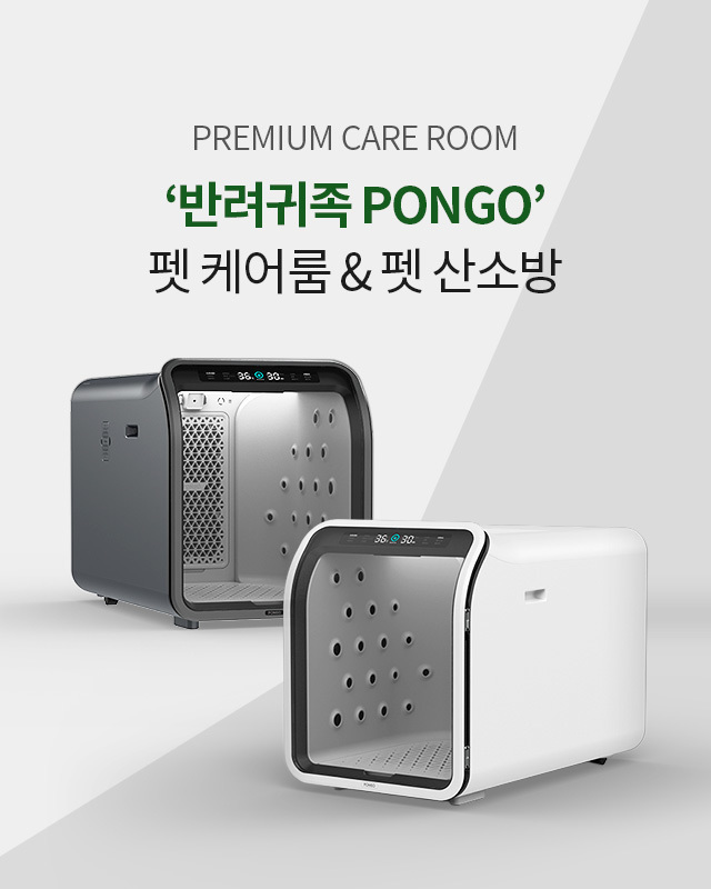 펫드라이룸